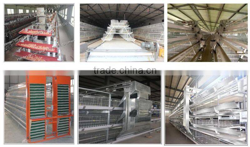 hot sell design layer chicken cages for Africa