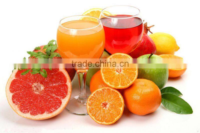 OR Series Spiral pineapple juice extractor machine fruit juice press machine