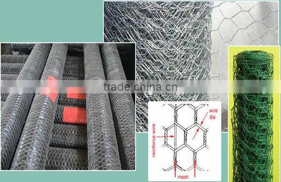 chicken netting (Factoryof Guangzhou)