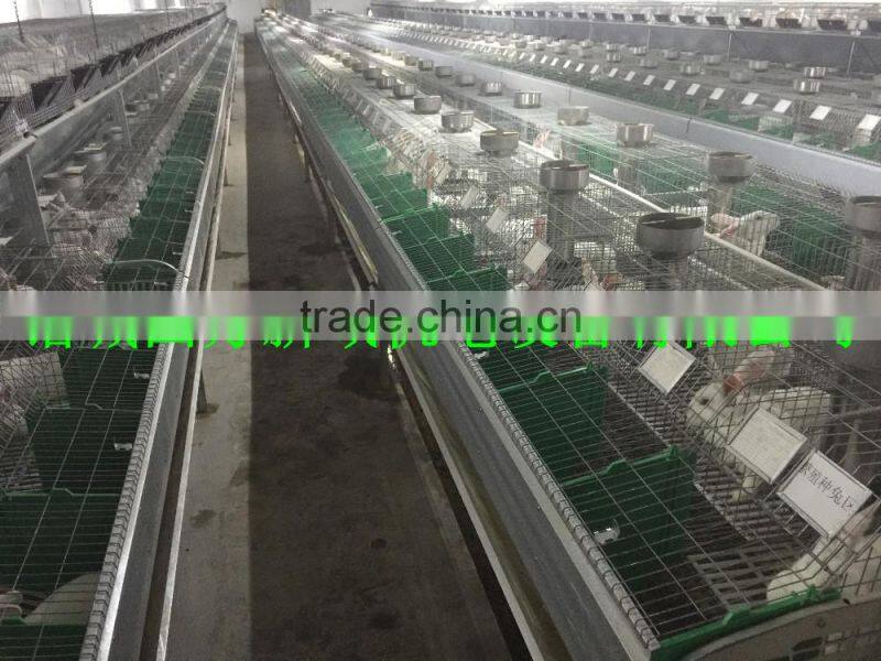 Cage For Sale (Female and Baby Rabbits/Commercial Rabbits)Rabbit Farming Cage, Industrial Cage for Rabbit ,Commercial rabbit cag