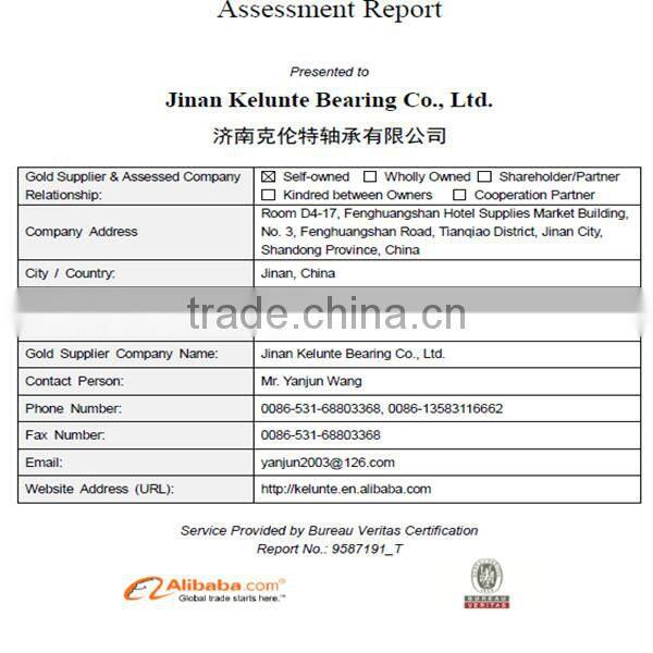 Roller Shutter Bearing Ball Bearing 6010 2Z/C3 Bearing