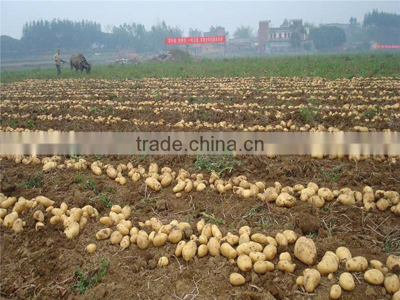 Best Price Factory Supplier harvest machine for potato (Skype:mayjoy61)