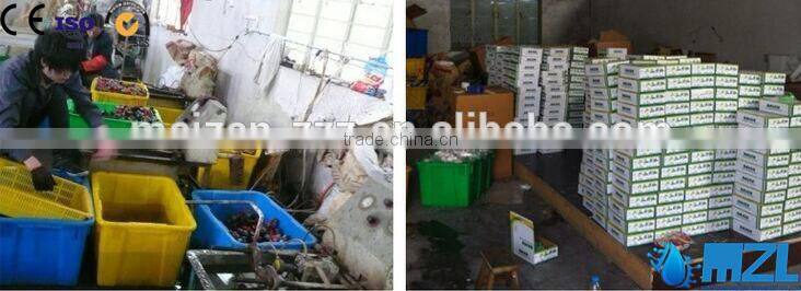 High quality plastic tap and plastic faucet,bibcock China supplier