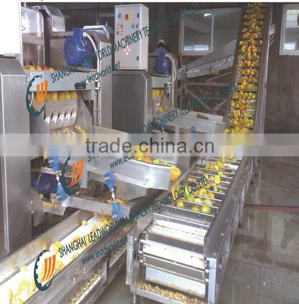 professional and factory price orange canned production line