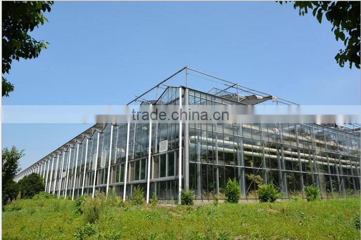 XINHE glass greenhouse for sale