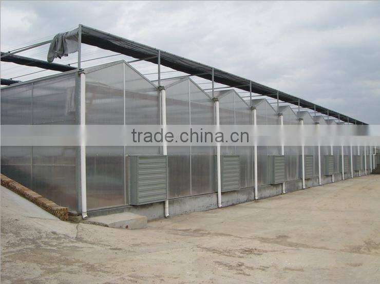 2016 customber design glass greenhouse