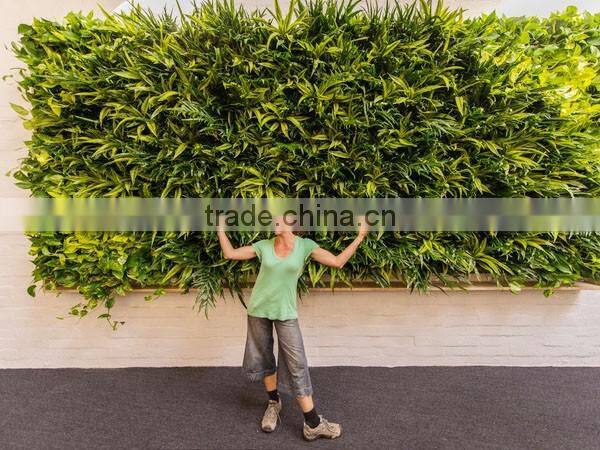 Indoor vertical garden pocket planter