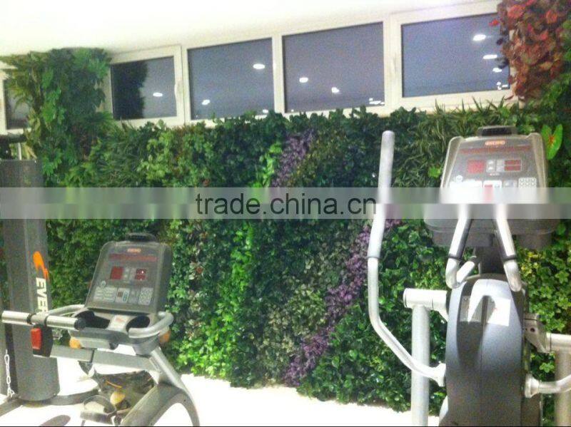 Artificial green wall for gymnasium