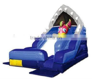 Inflatable Jumping Bouncer,Bouncer Baby,Giant Inflatable Bouncer