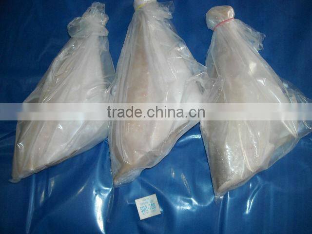 Frozen Leather Jacket Fish Whole Round