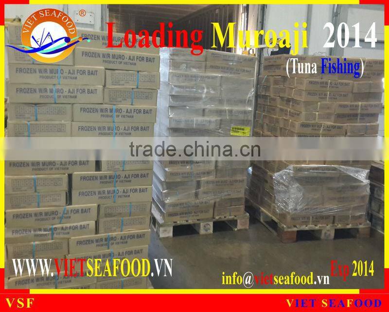 LOADING MUROAJI FOR TUNA BAIT