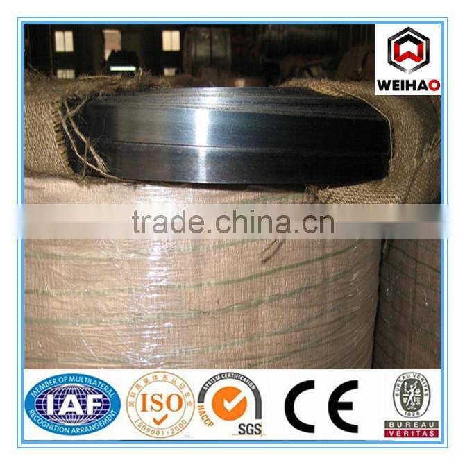 good quality blue Steel Strips