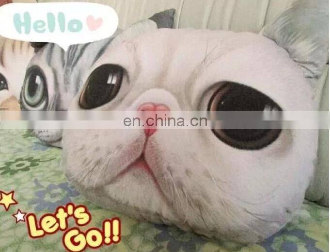 Custom Cartoon Cat Printed Pillow