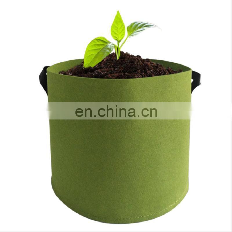 Seedling 5 Gallon round felt grow bag