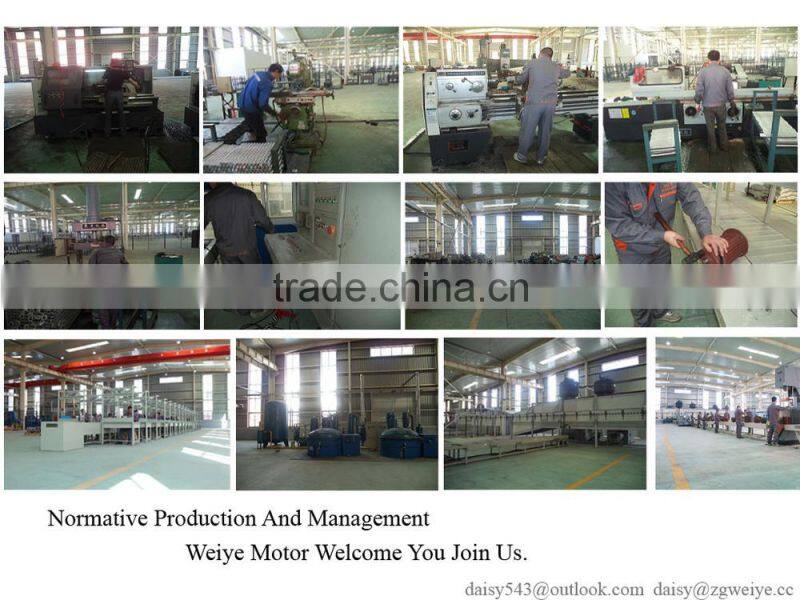 Electrico Single Phase 0.5 HP Electric Motor
