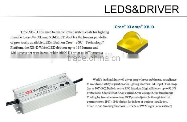 2014 new products IP65 60w led canopy lights, led petrol station fixture