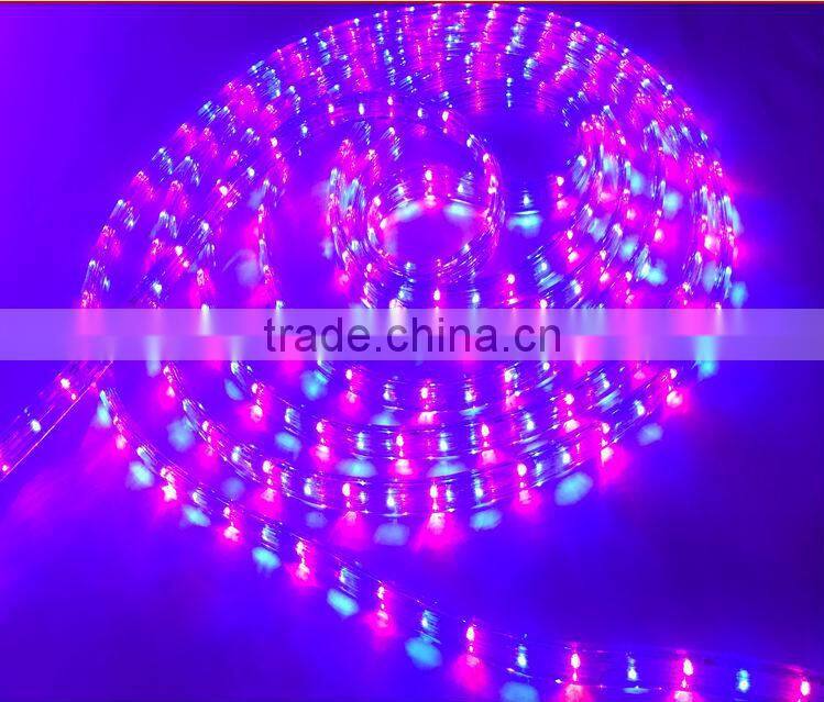 Good quality round flat LED Rope Light Warmwhite