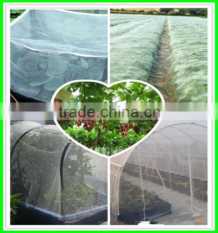 100% HDPE Anti Insect Netting