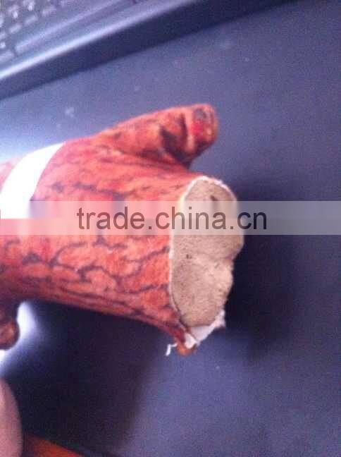 pet's toy, interactive toss and tug toy, pet's squeaker toy