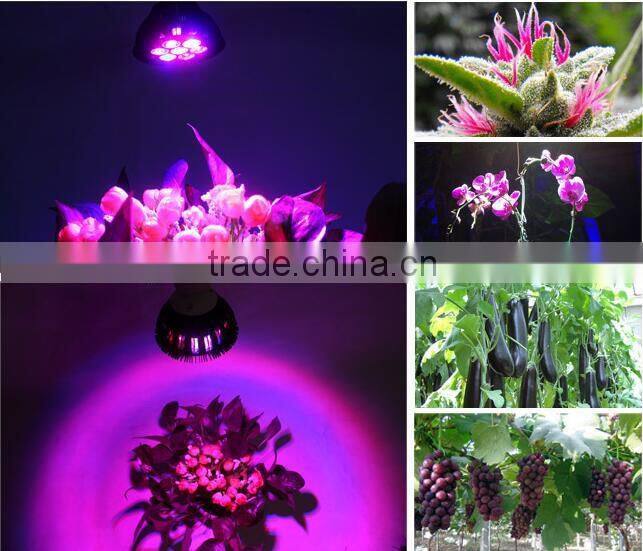 High Quality 5w chip new adjustable E27 cob led grow light