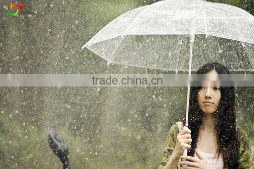 8k transparent poe umbrella