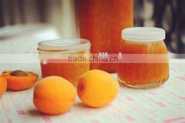 Supply canned apricot paste with good quality for sale