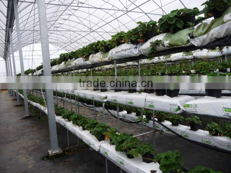 hydroponic NFT growing system greenhouse