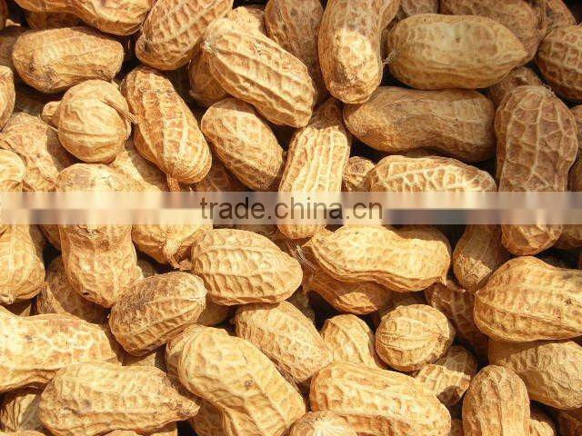 2015 new crop best quality hot sale peanuts kernels crushed price