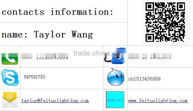 Guangzhou factory 3w animation dancing laser light