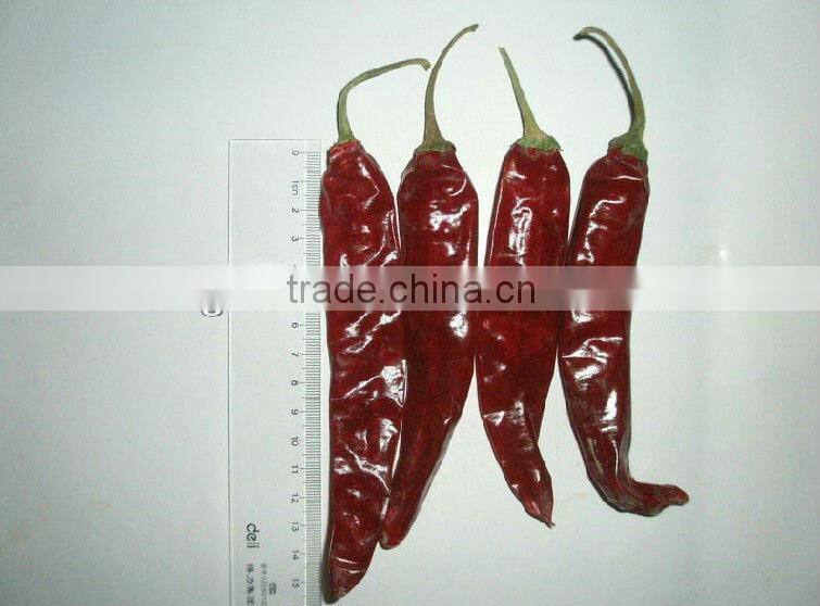 Dried Red Chilli, new crop 2013 ; American red, Jinta , Yidu chilli