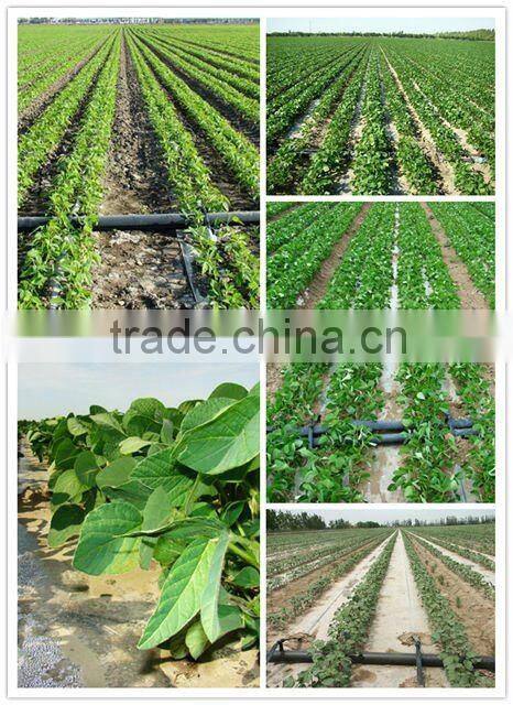 ZQSJ-65/30 80m/min Labyrinth type drip irrigation belt equipment