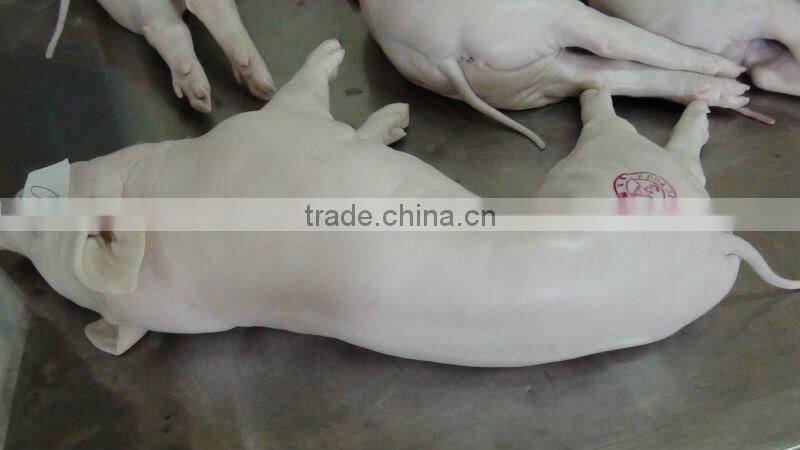 Frozen Sucking Pig FMCG products