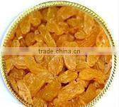 sultana raisin-new crop