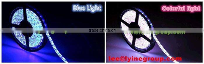 AC/DC 12 led neon flexible bendable led strip 5050