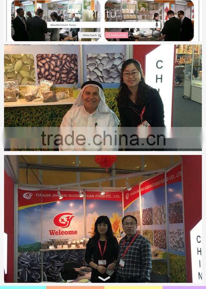 High quality pumpkin seeds kernels with grade A, grade AA