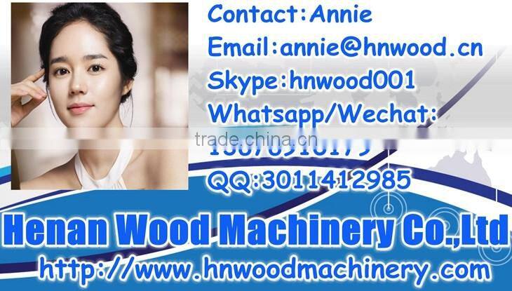 WD pet food packing machine,pet food packing machine