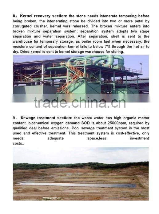 palm oil extraction equipment