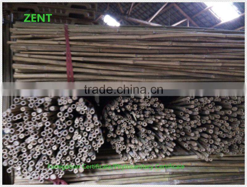 ZENT-164 Bamboo Poles small