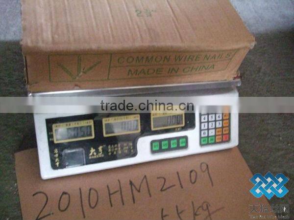 common nail/polished nail/galvanized nail