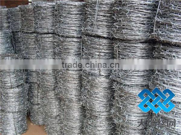 Hot dipped galvanized barbed wire