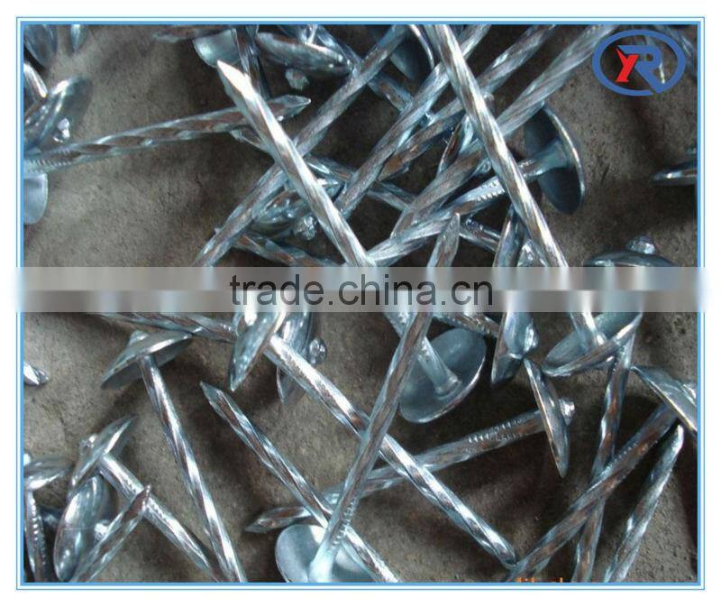 trade assurance umbrella roofing nails with twist shank 2'' 2.5'' 3'' from china