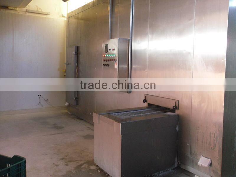 Vgetable Spiral Freezer