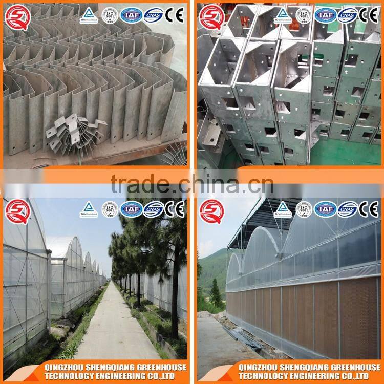 China aluminum profile tunnel greenhouse agriculture for vegetable