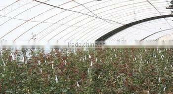 blow molding agriculture film