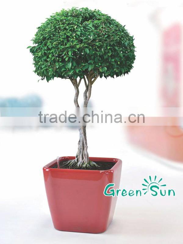 GreenSun hotsale plastic garden Flower Plant pots ceramic flower pots