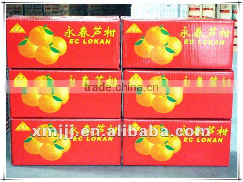 new harvested yongchun fresh mandarin orange