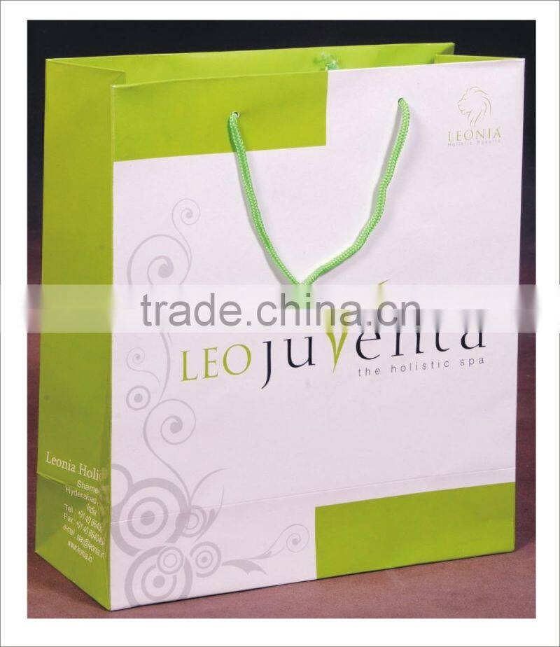 Brand Promotion Shopping Bags / Luxury Paper Bags
