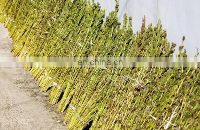 Chives reaping machine/leeks harvest machine/harvester for fragrant-flowered garlic on sale