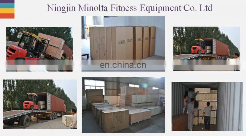 Commercial Fitness Equipment MND Machines Steel AN06 Lower Back Power Club Black
