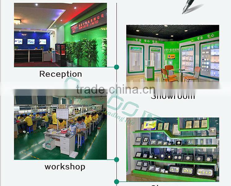 IP66 50w IR motion detector LED flood light motion sensor COB LED flood light with CE ROHS